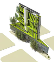 Green Construction